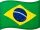 Brazilië flag