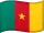 Camerún flag