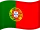 Португалия flag