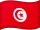 Tunesië flag