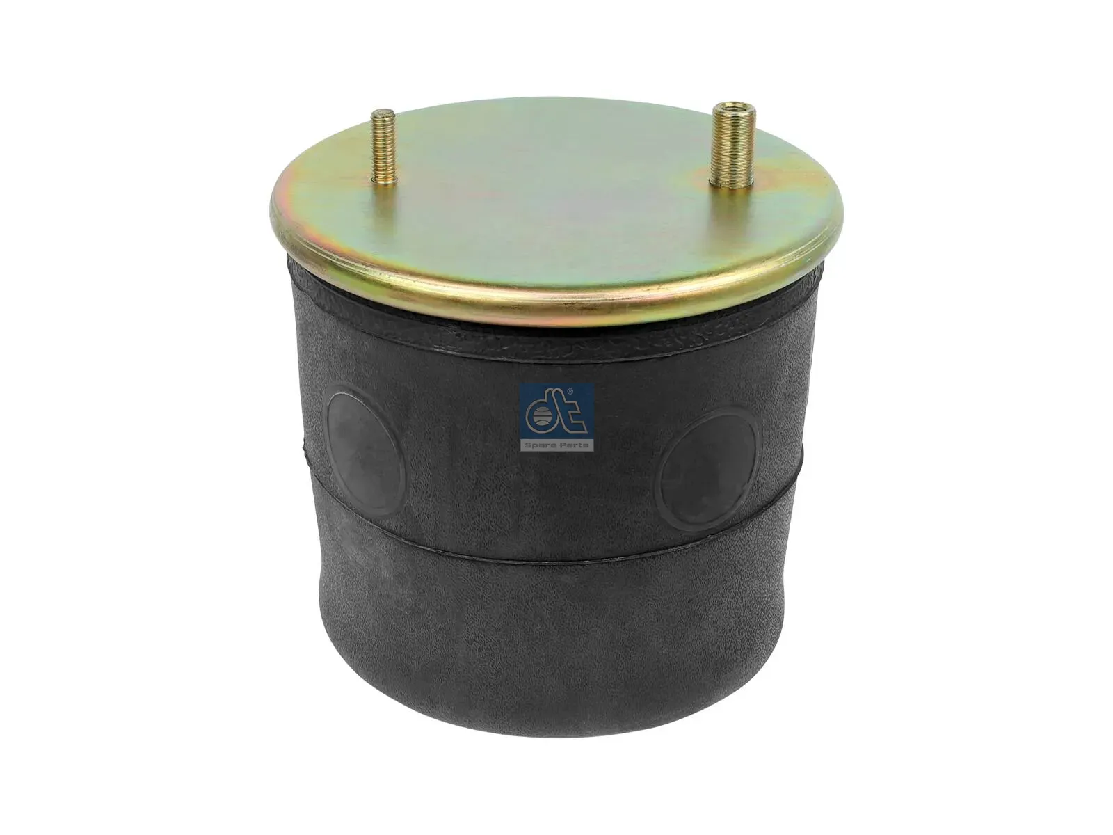 Air spring, with plastic piston