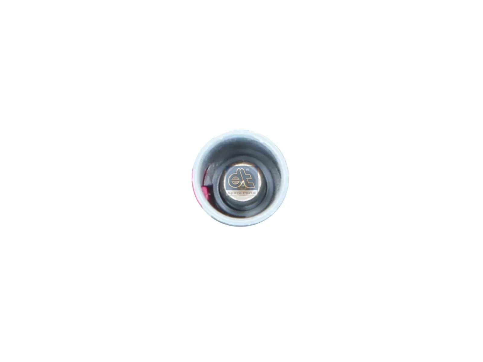 Reverse Camera