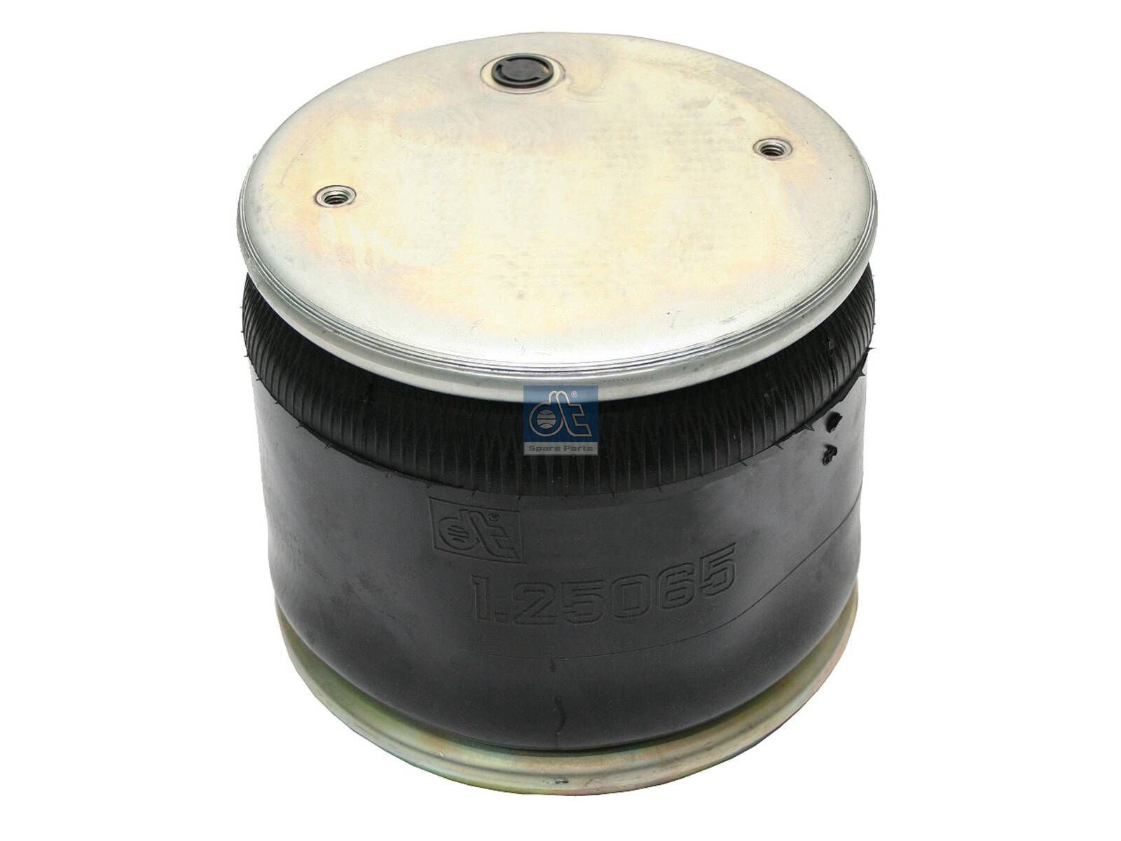 DIESEL TECHNIC | 1.25856 Air spring, with plastic piston