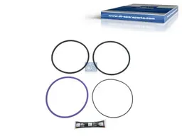 DIESEL TECHNIC | 2.90116 Piston with liner