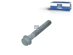 DIESEL TECHNIC | 5.40309 Flywheel 