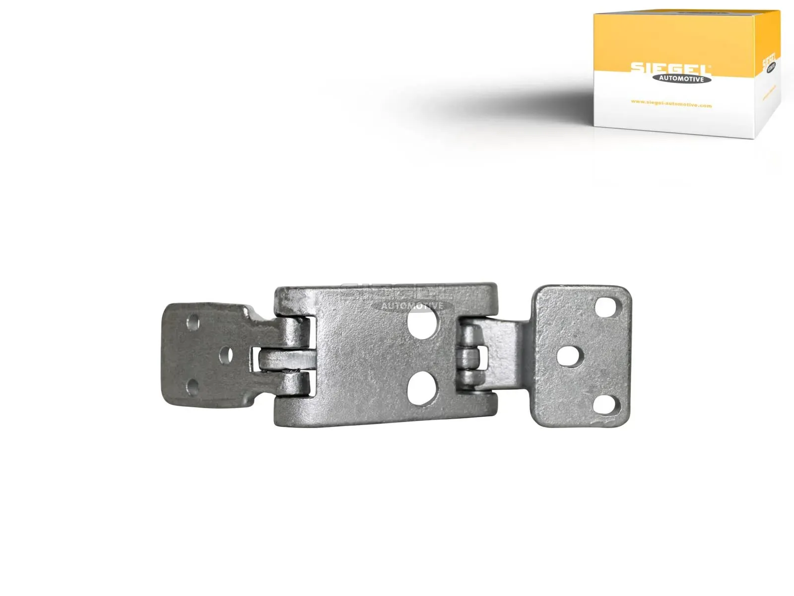 Hinge, lower left